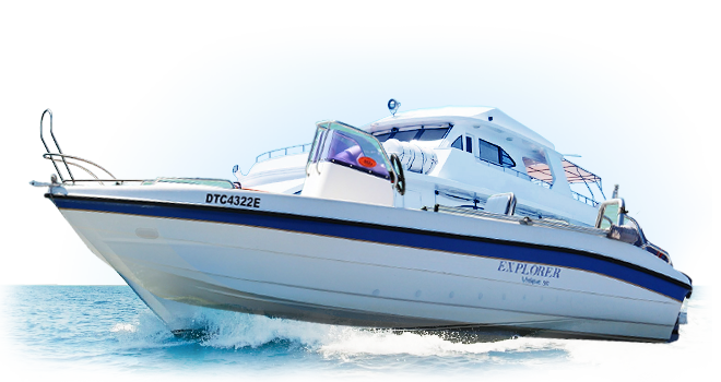 安卓短信轰炸机